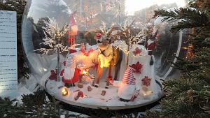 2023 12 19 TOULON AVANT NOEL (59)